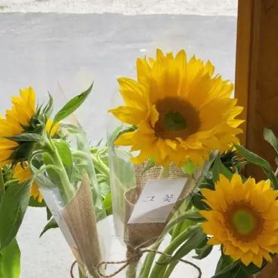 pg娱乐电子游戏